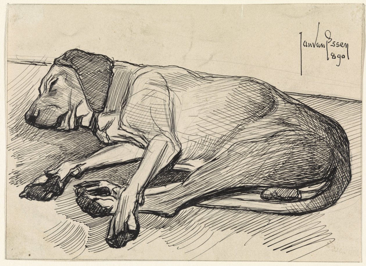 Sovende hund, til venstre af Jan van Essen