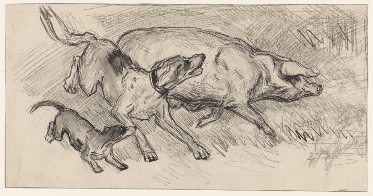 To hunde jagter en gris af Jan van Essen