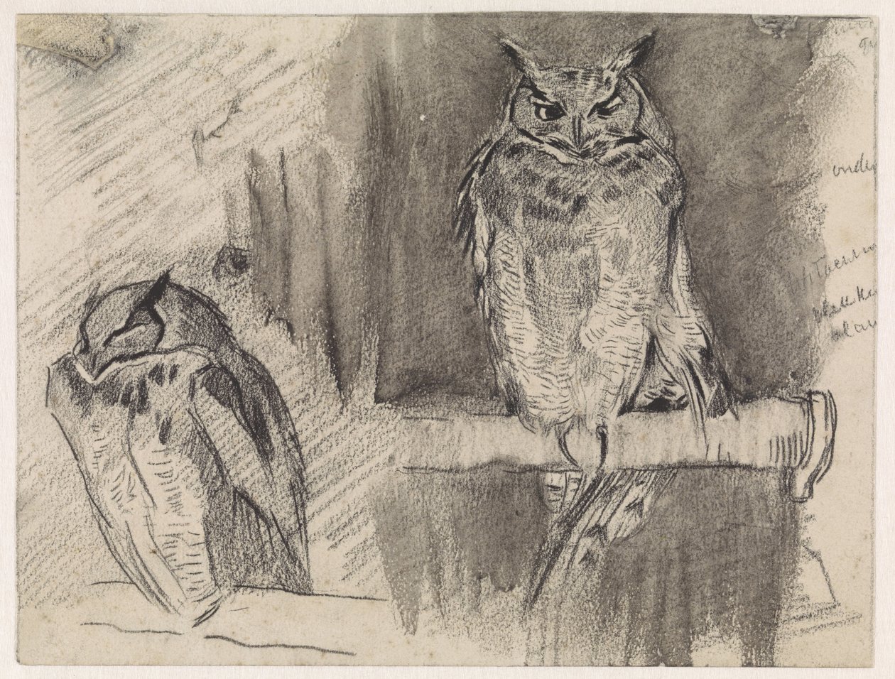 To undersøgelser af en ugle af Jan van Essen