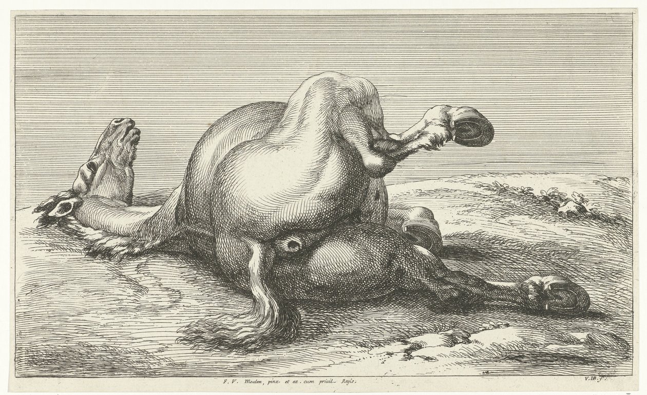 falden hest Dead Horses (serietitel) af Jan van Huchtenburg