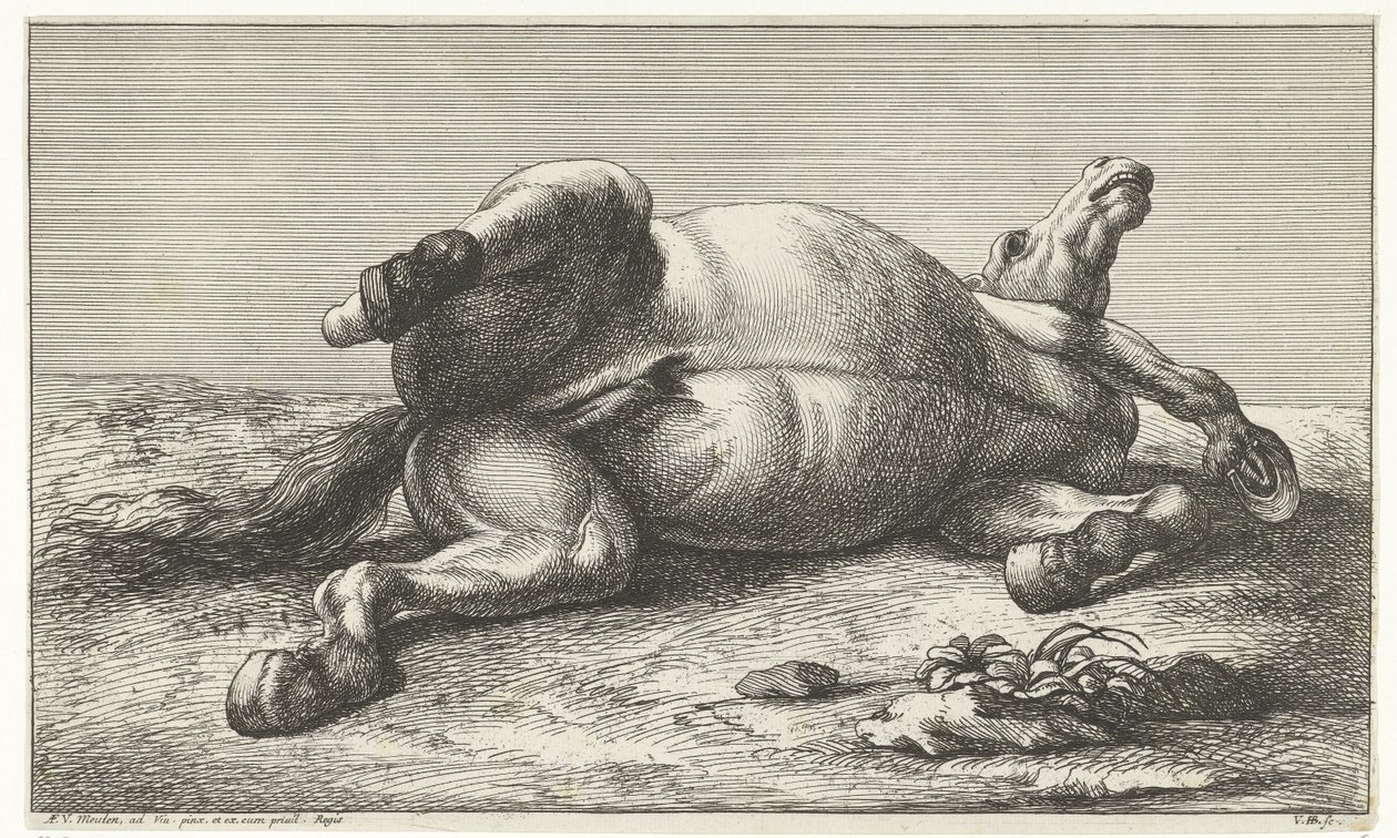Død hest liggende på venstre side Dead Horses (serietitel) af Jan van Huchtenburg