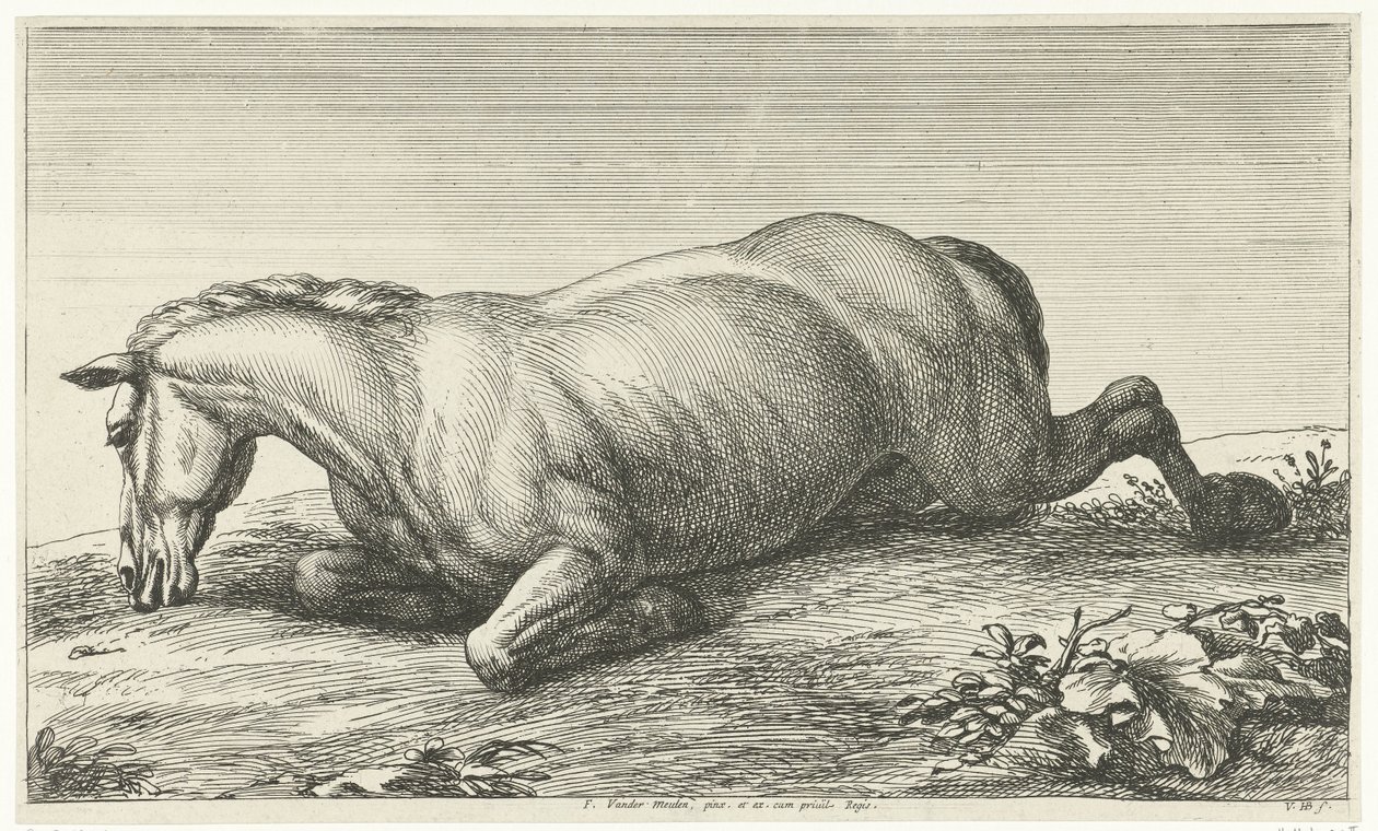 Død hest liggende på maven Dead Horses (serietitel) af Jan van Huchtenburg