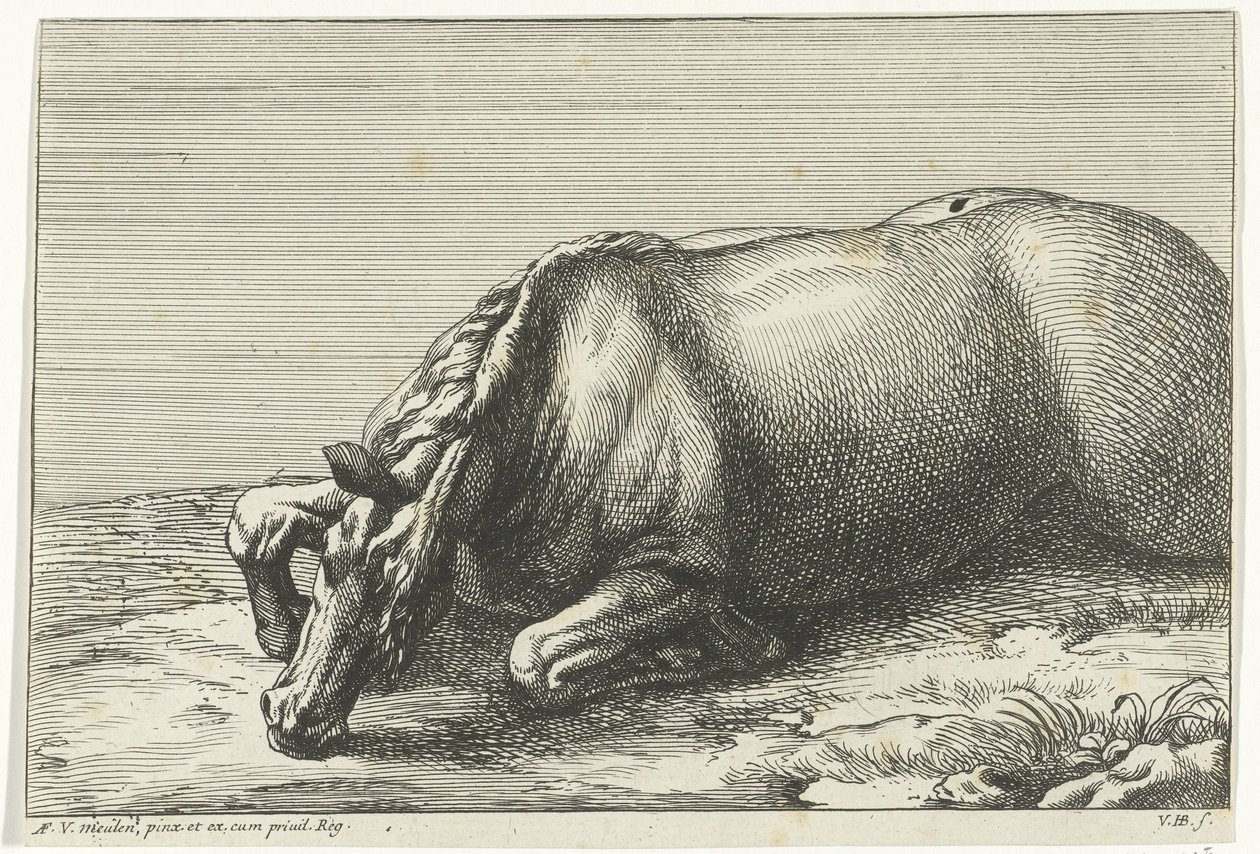 Død hest ses i venstre side Dead Horses (serietitel) af Jan van Huchtenburg