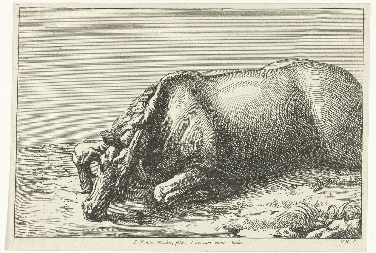Død hest ses i venstre side Dead Horses (serietitel) af Jan van Huchtenburg