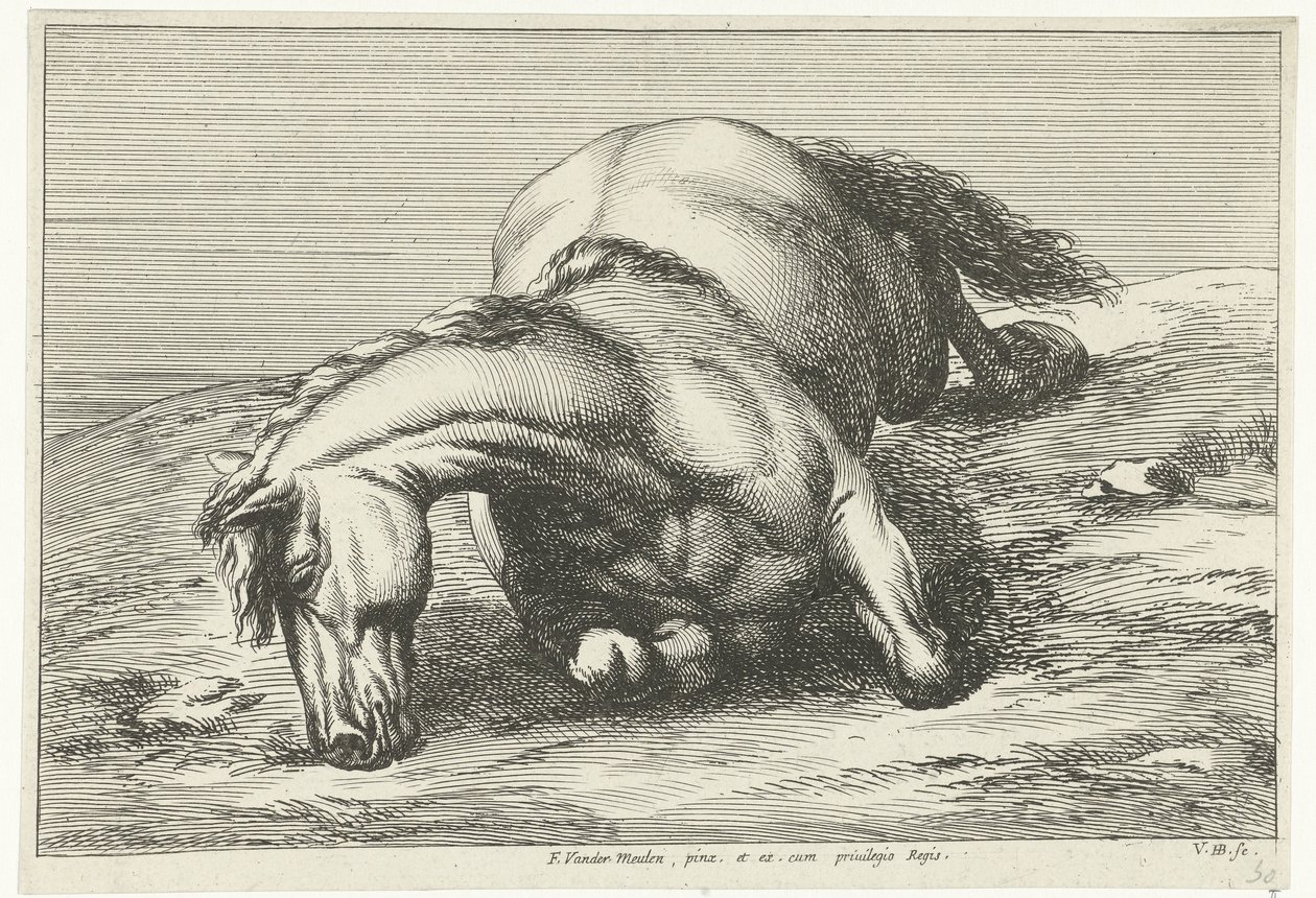 Død hest liggende på højre side Dead Horses (serietitel) af Jan van Huchtenburg