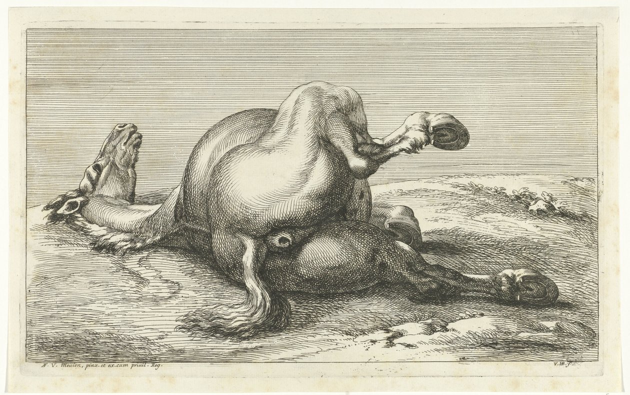 Faldet hest set bagfra Dead Horses (serietitel) af Jan van Huchtenburg