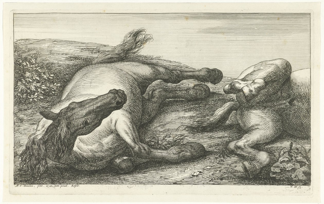 To faldne heste, den venstre set forfra Dead Horses (serietitel) af Jan van Huchtenburg