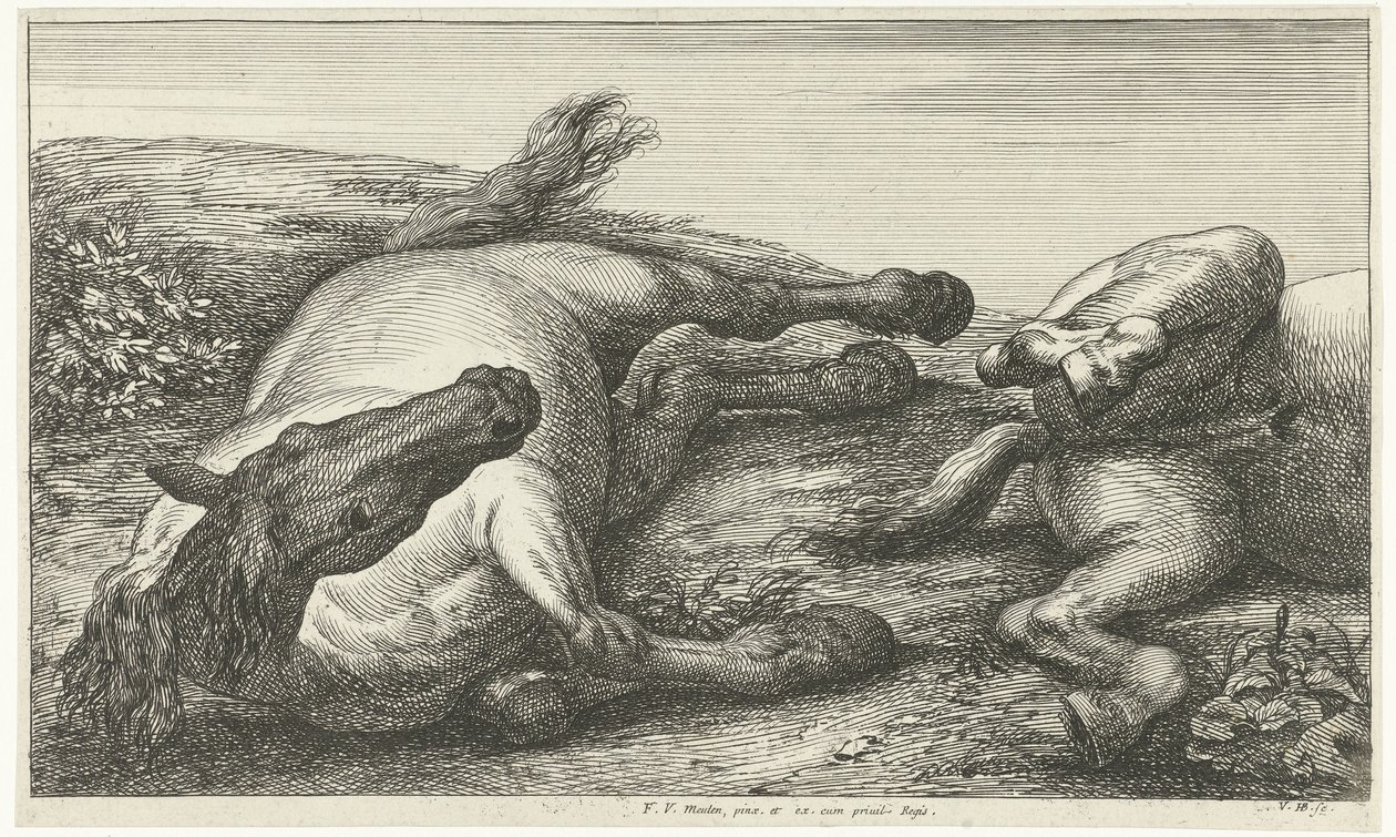 To faldne heste, den venstre set forfra Dead Horses (serietitel) af Jan van Huchtenburg