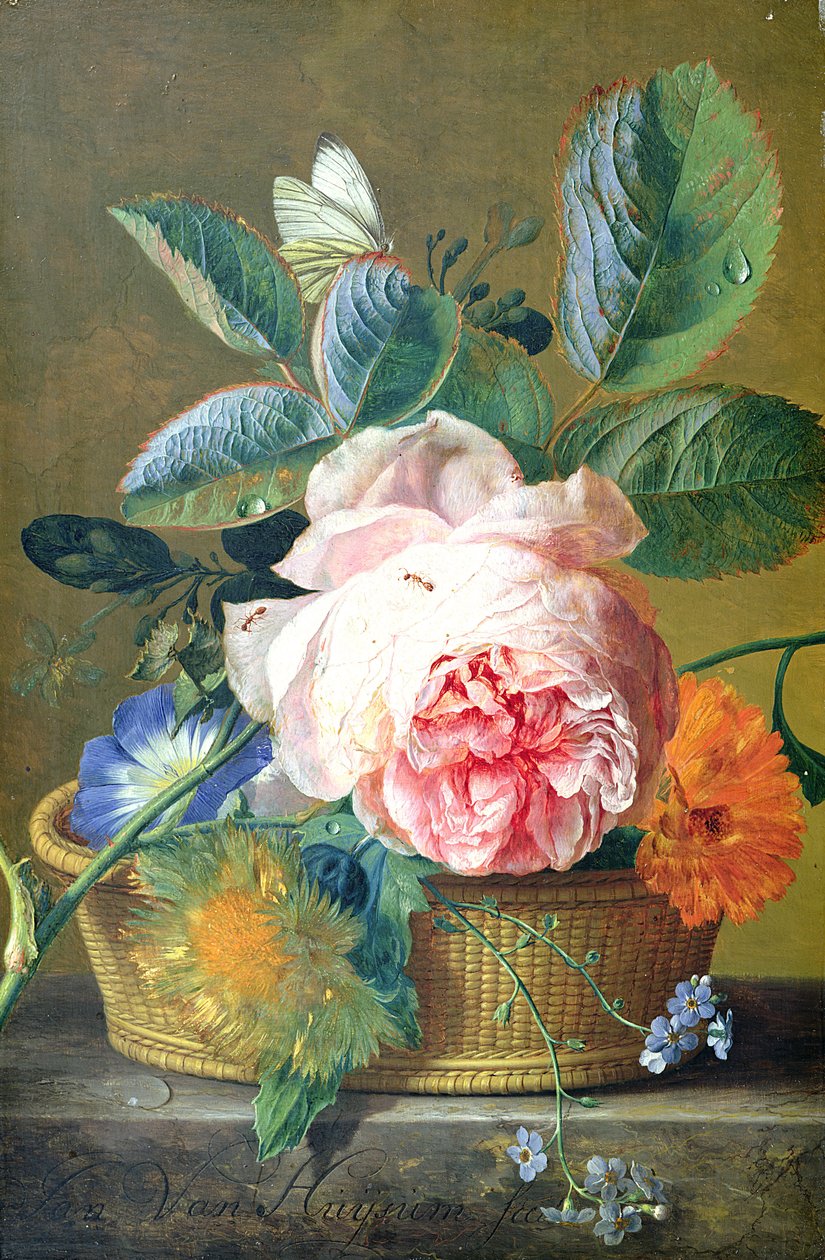 En kurv med blomster, 1740-45 af Jan van Huysum