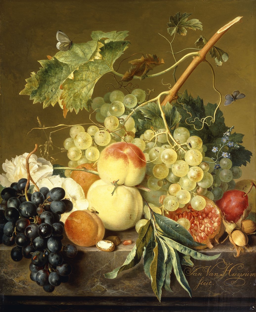 Frugt, hasselnødder og stokroser på en marmorkant, af Jan van Huysum