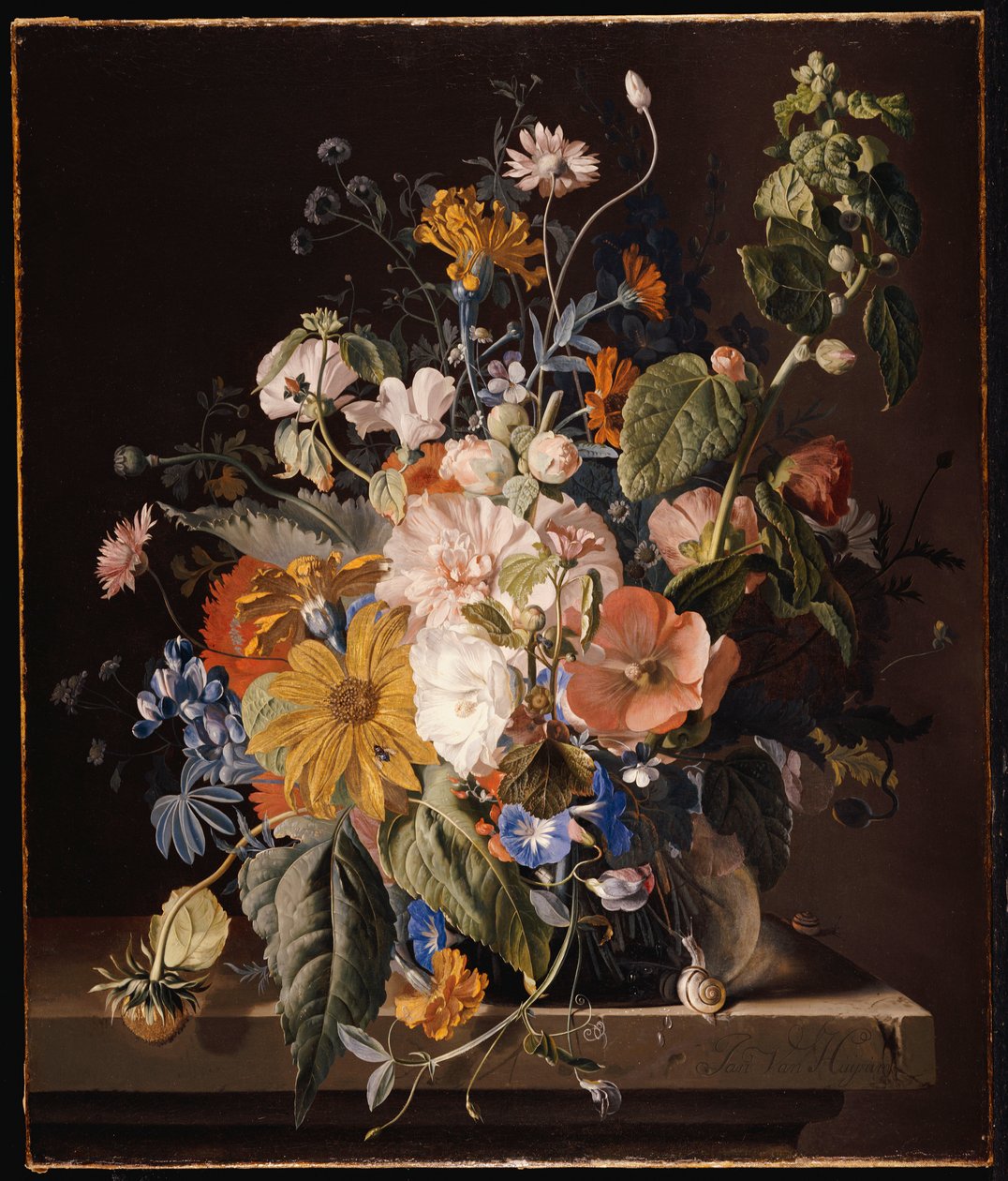 Valmuer, stokrose, Morning Glory, bratsch, tusindfryd, søde ærter, morgenfruer og andre blomster i en vase med en snegl på en afsats af Jan van Huysum