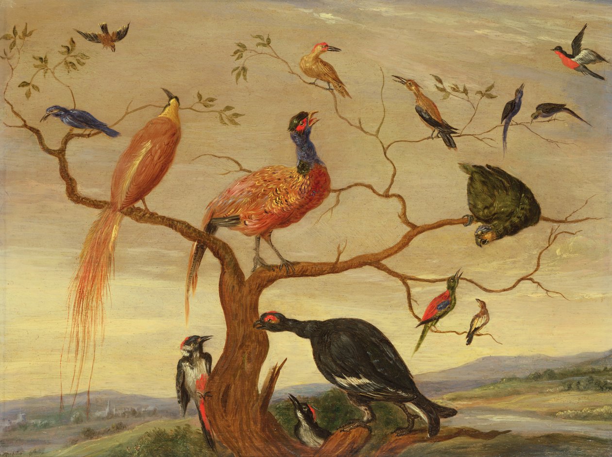 A Concert of Birds (olie på kobberpanel) af Jan van Kessel the Elder