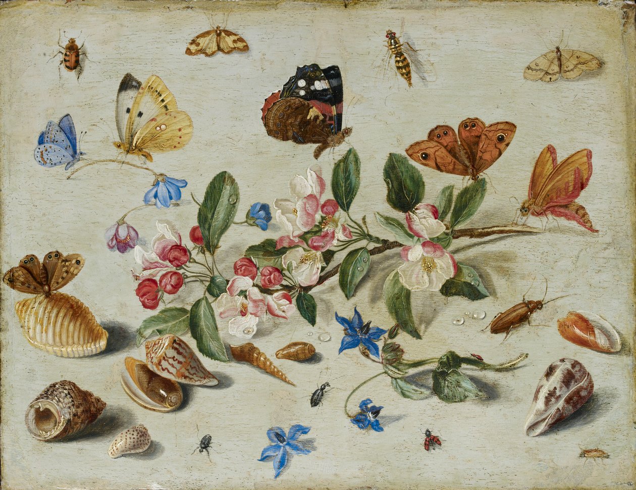 Blomster og insekter, slutningen af 1650