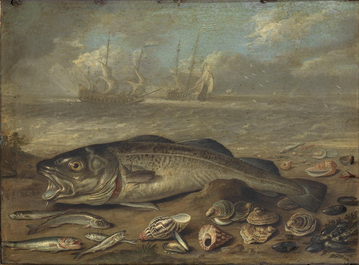 Fisk og havlandskab af Jan van Kessel the Elder