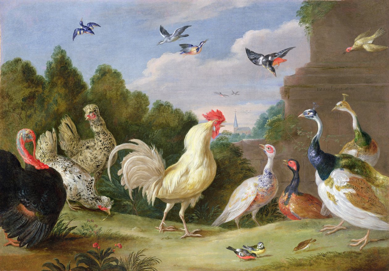 Skovklædt landskab med hane, kalkun, høns og andre fugle, 1600-tallet af Jan van Kessel the Elder