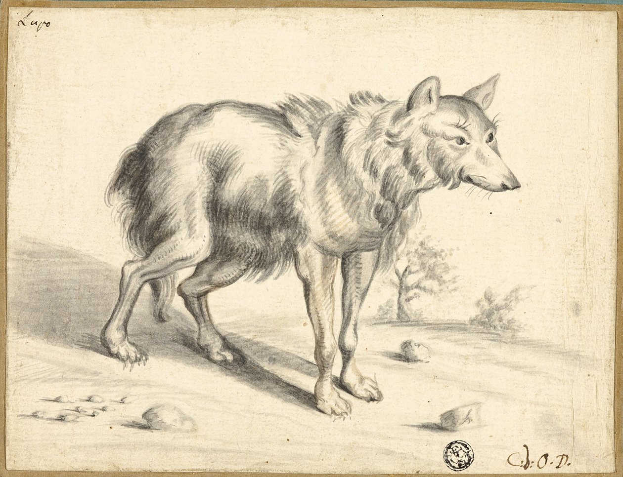 Ulv af Jan van Os