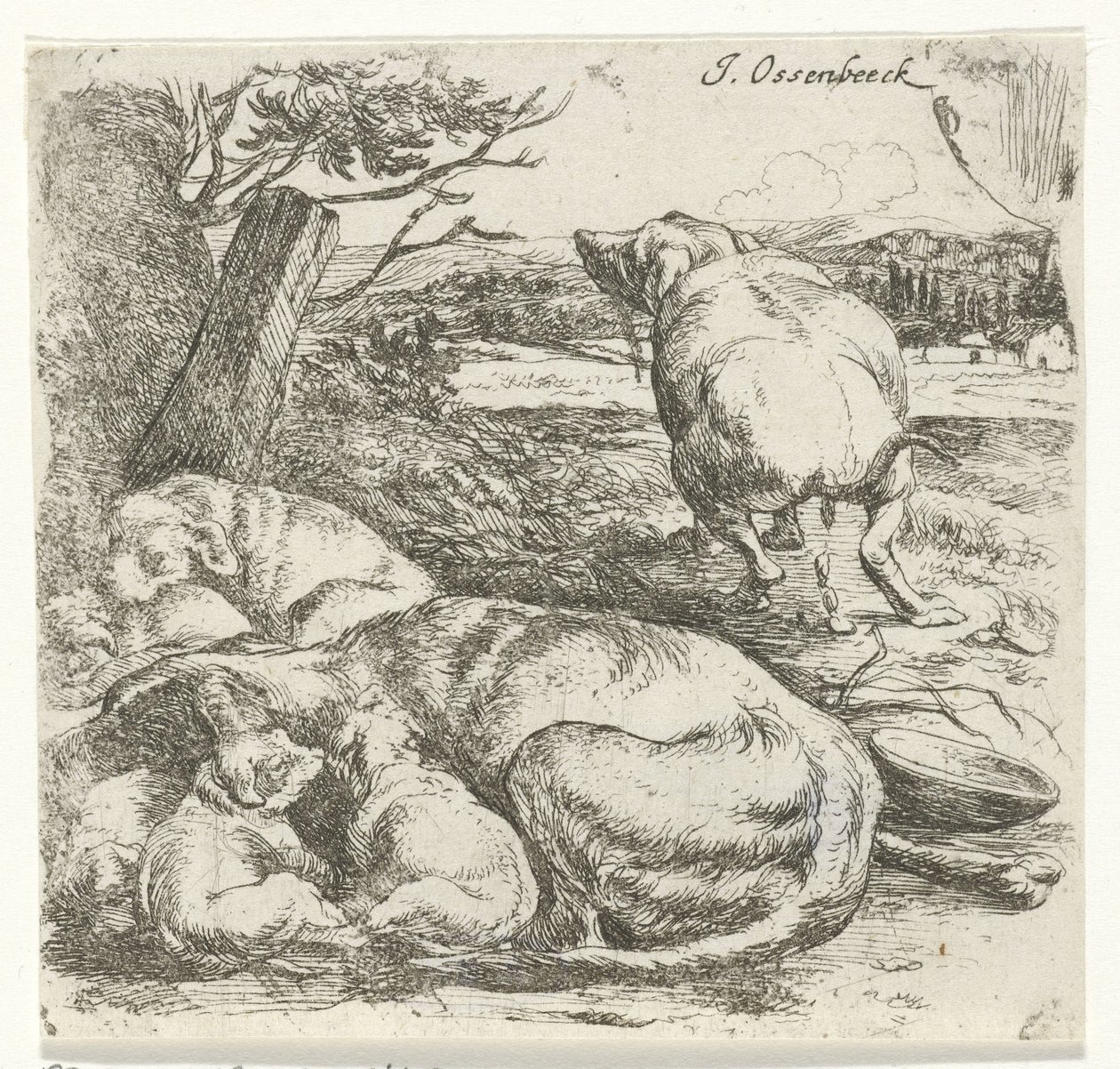 Tæve med hvalpe af Jan van Ossenbeeck