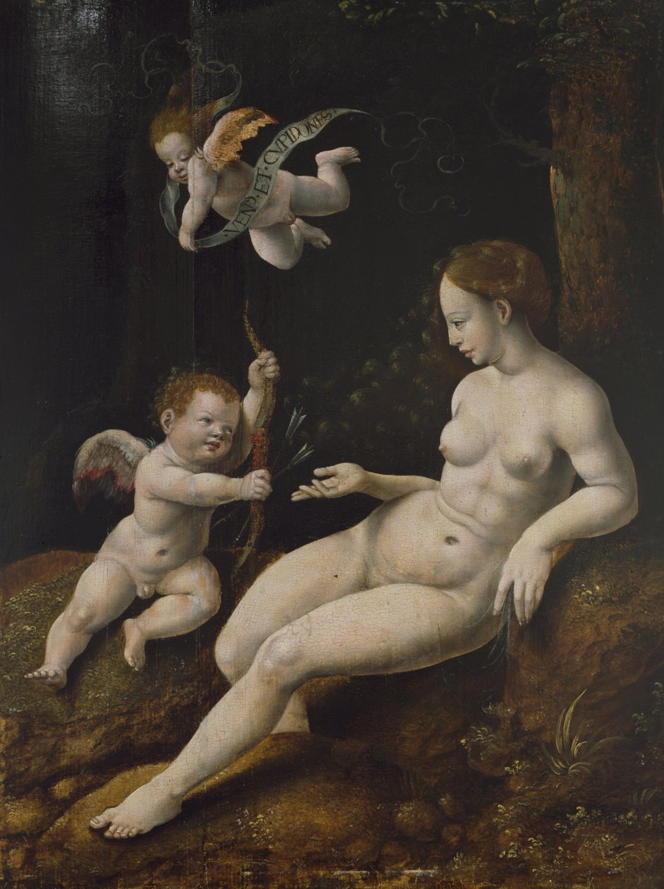 Venus og to amoriner, ca. 1528 (olie på panel) af Jan van Scorel