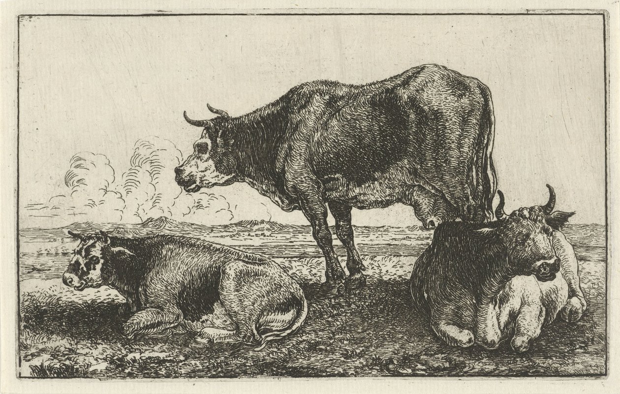 Tre køer Dyr (serietitel) Zoographiam (serietitel) af Jan van den Hecke