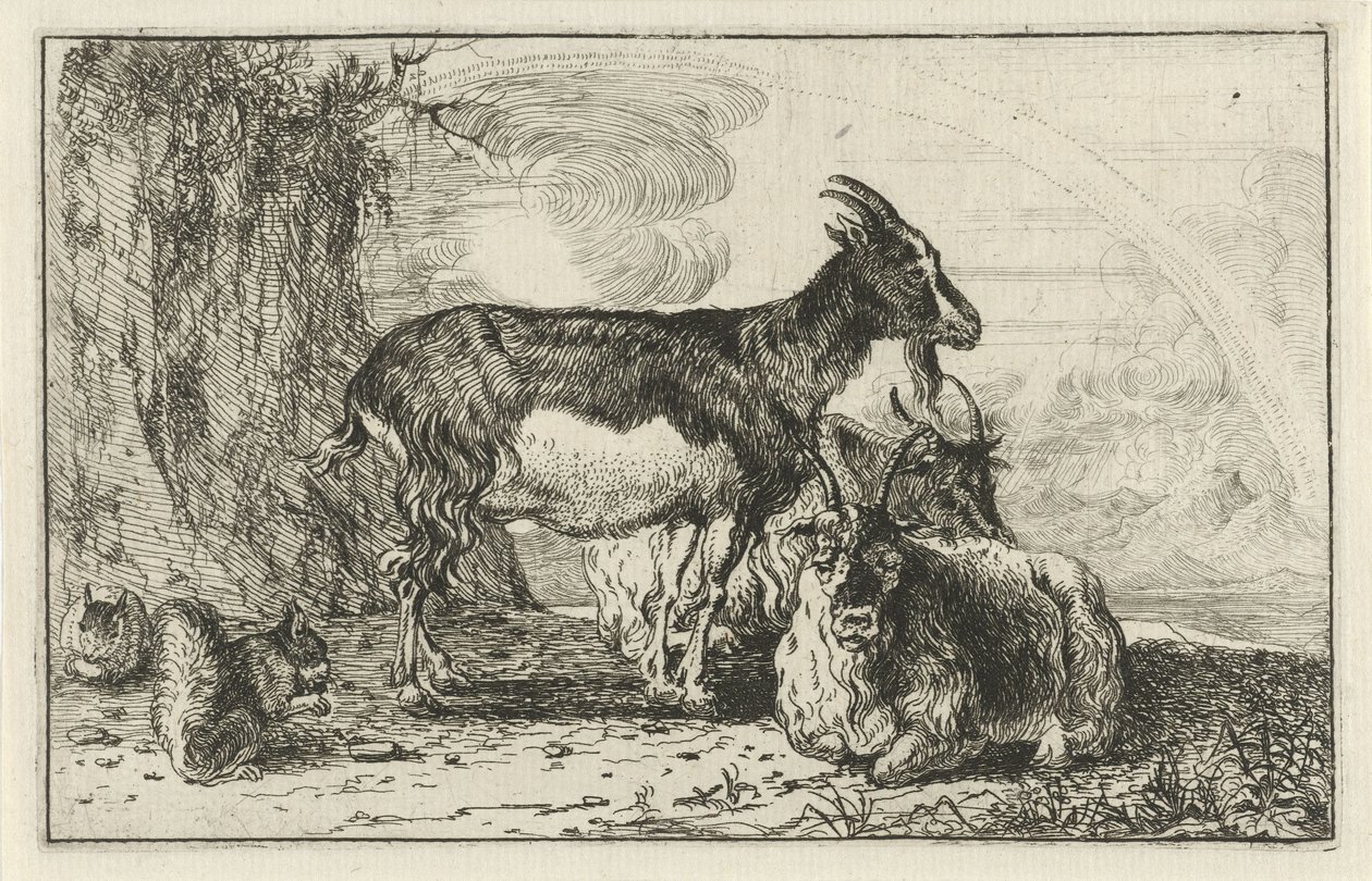 geder Dyr (serietitel) Zoographiam (serietitel) af Jan van den Hecke