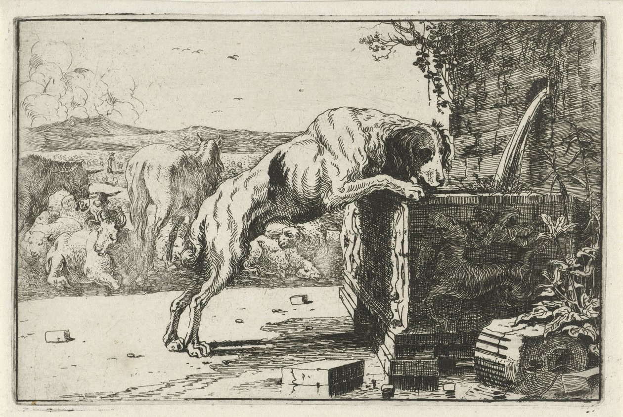 Hund ved et springvand Dyr (serietitel) Zoographiam (serietitel) af Jan van den Hecke