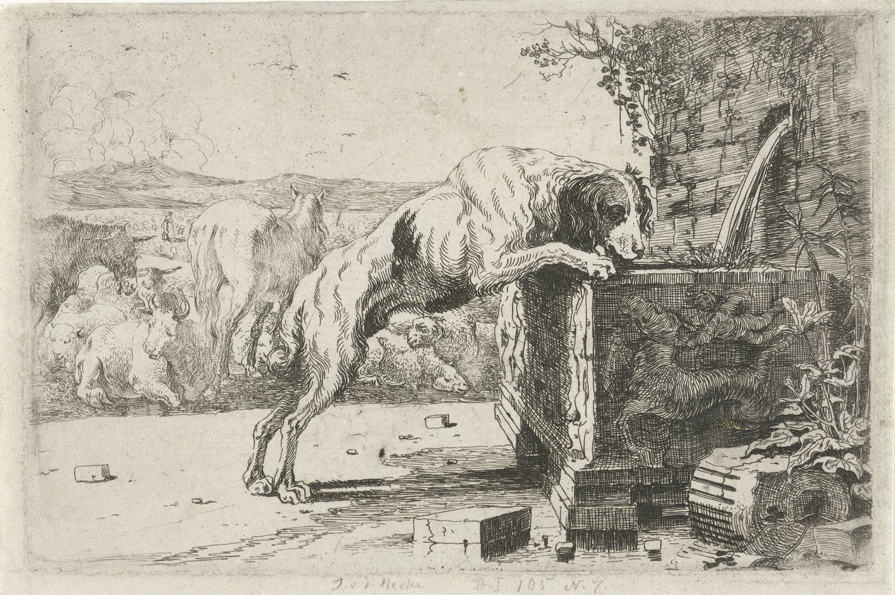 Hund ved et springvand Dyr (serietitel) Zoographiam (serietitel) af Jan van den Hecke