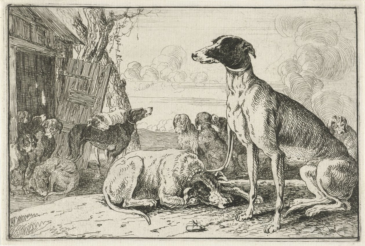 hundekennel Dyr (serietitel) Zoographiam (serietitel) af Jan van den Hecke