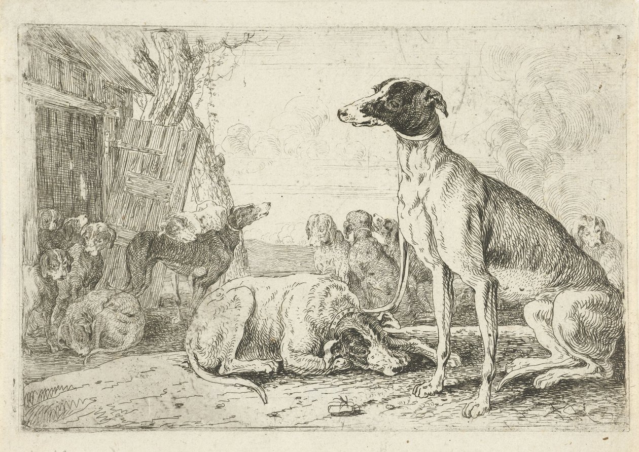 hundegård Dyr (serietitel) Zoographiam (serietitel) af Jan van den Hecke