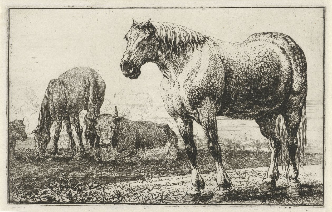 Heste og køer Dyr (serietitel) Zoographiam (serietitel) af Jan van den Hecke