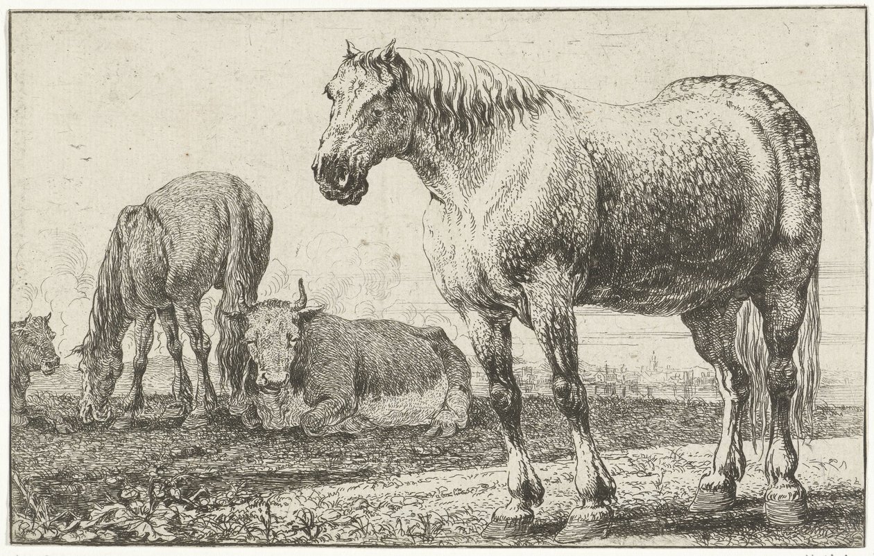 Heste og køer Dyr (serietitel) Zoographiam (serietitel) af Jan van den Hecke