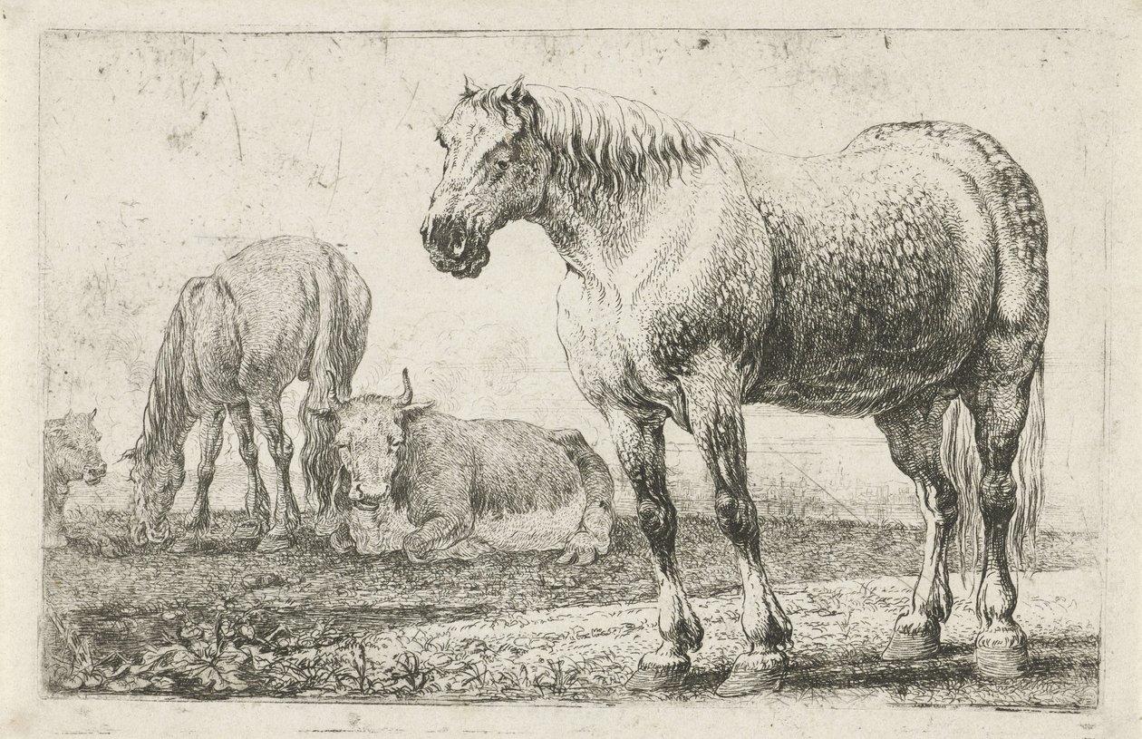 Heste og køer Dyr (serietitel) Zoographiam (serietitel) af Jan van den Hecke