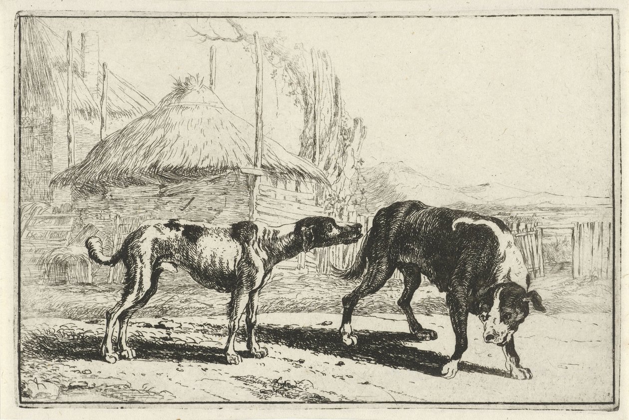 Hankøn og hunkøn Dyr (serietitel) Zoographiam (serietitel) af Jan van den Hecke