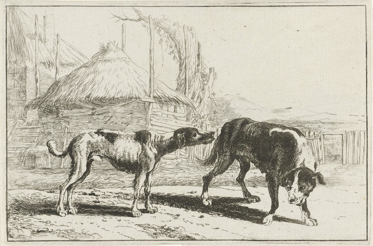 Hankøn og hunkøn Dyr (serietitel) Zoographiam (serietitel) af Jan van den Hecke