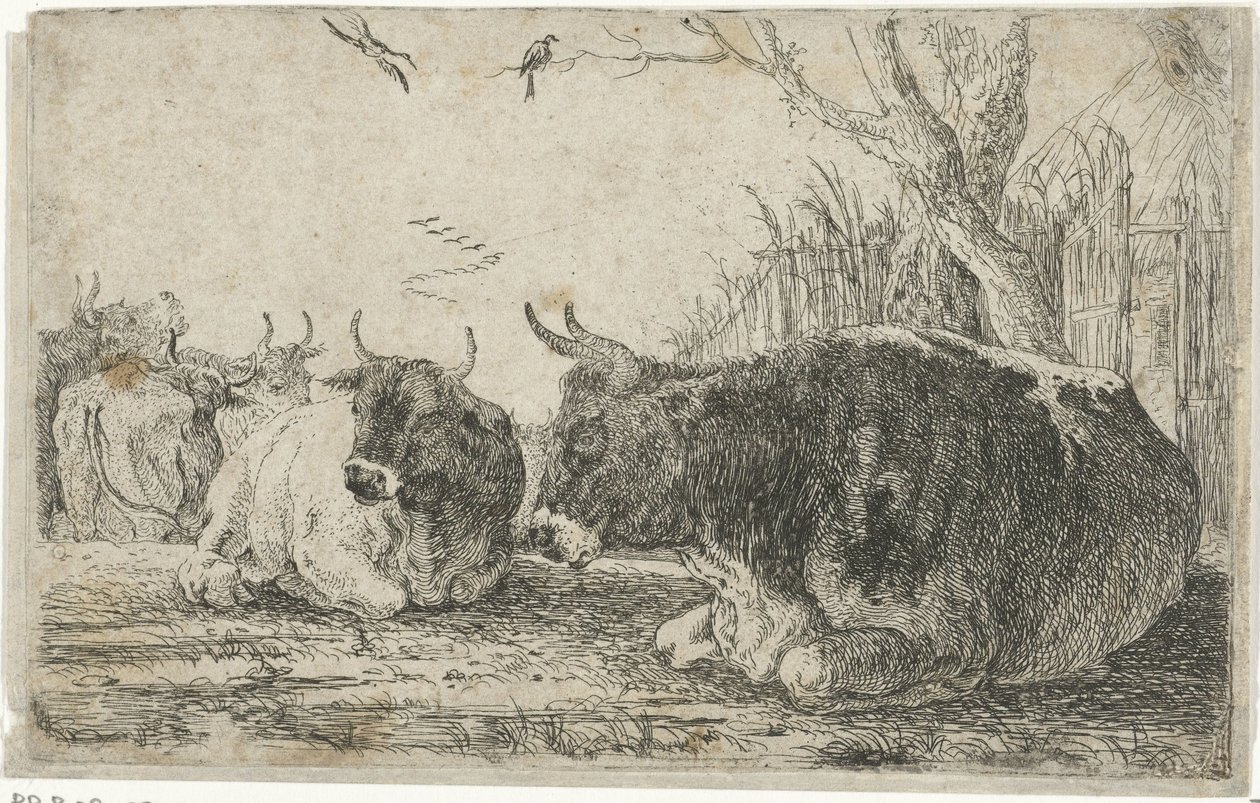 hvilende køer Dyr (serietitel) Zoographiam (serietitel) af Jan van den Hecke