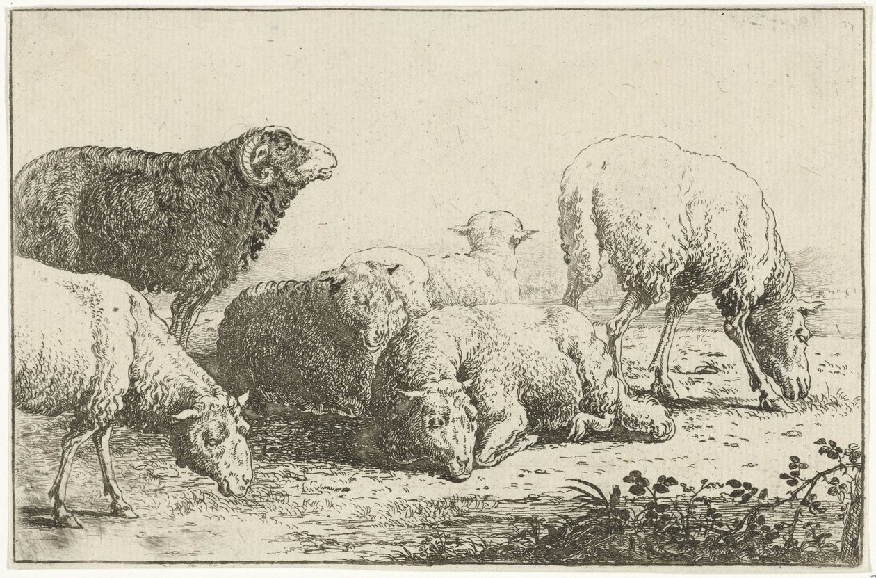 Får Dyr (serietitel) Zoographiam (serietitel) af Jan van den Hecke