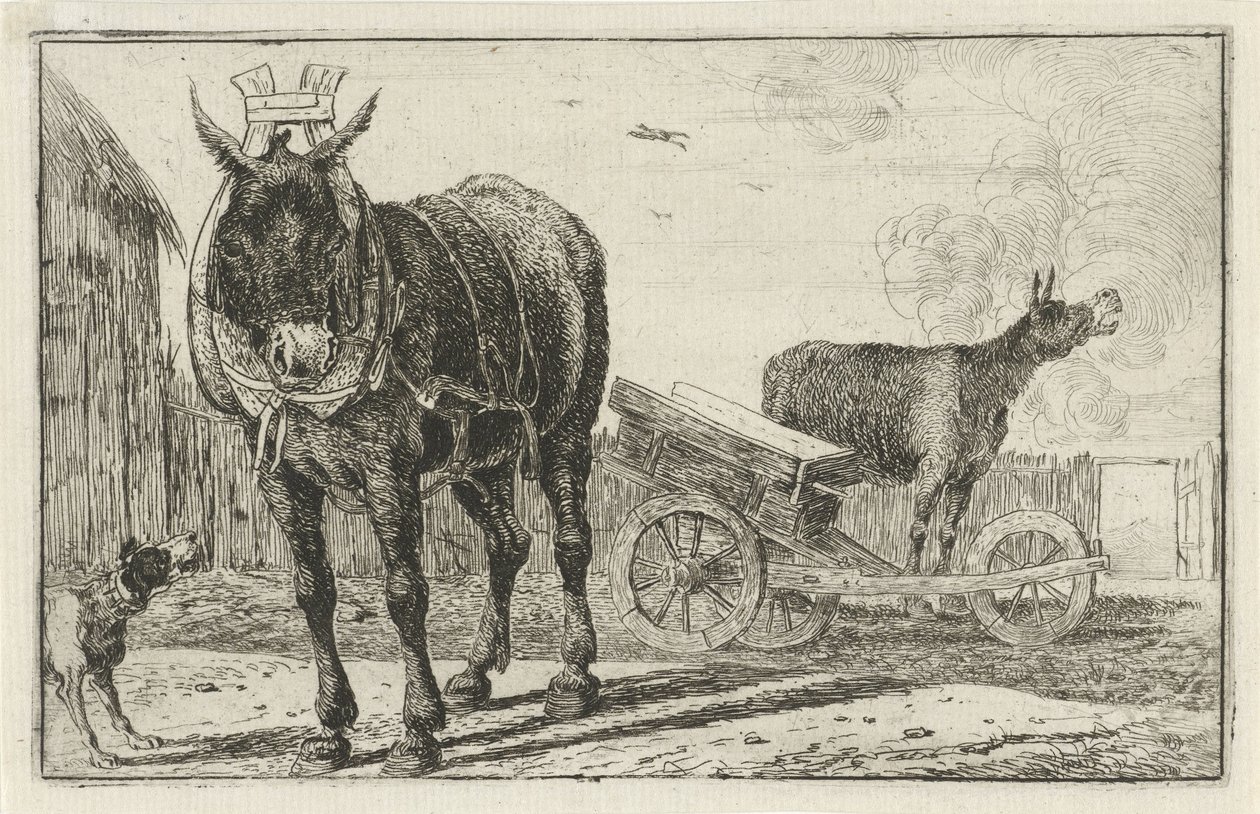 To æsler Dyr (serietitel) Zoographiam (serietitel) af Jan van den Hecke