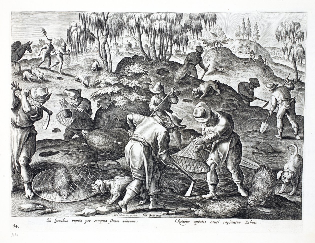 Udgravning og indfangning af pindsvin, planche 54, illustration fra "Venationes, Ferarum, Avium, Piscium" (Om jagt: vilde dyr, fugle, fisk), graveret af Jan Collaert (1566-1628), udgivet af Phillipus af Jan van der Straet