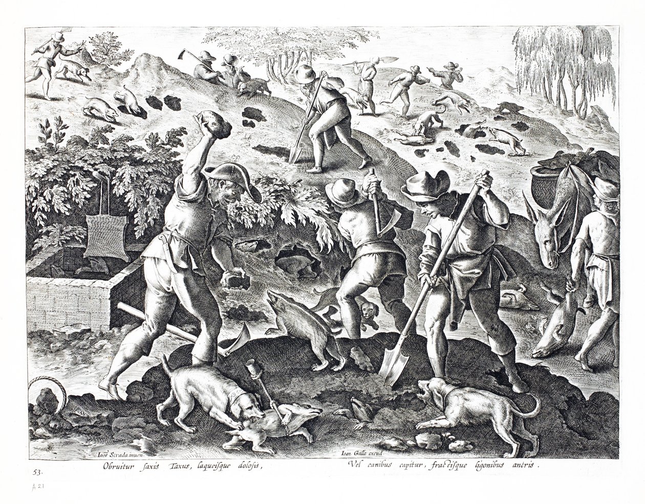 Graver ud og fanger Grævlinger, illustration fra 