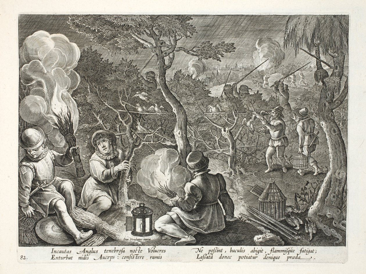 Fowlers, der fanger fugle om natten, illustration fra 