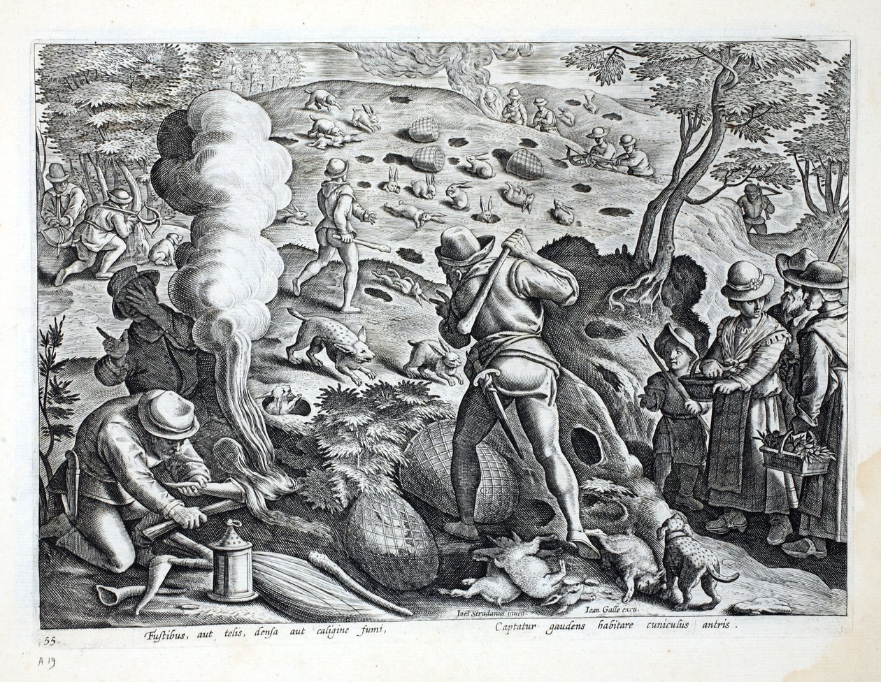 Jagtkaniner, illustration fra 