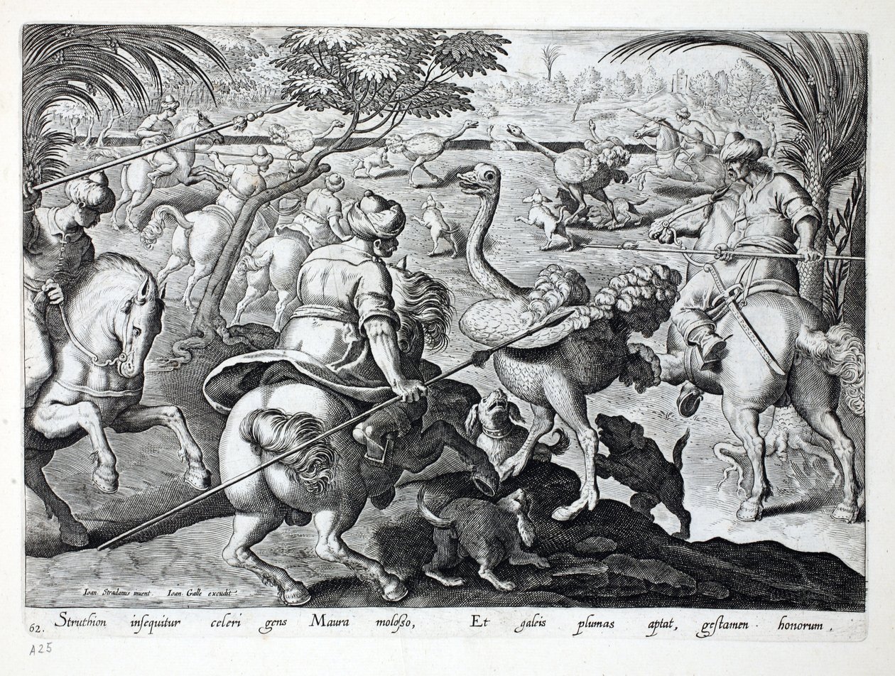Moors on Horseback Jagt strudse, plade 62, illustration fra 