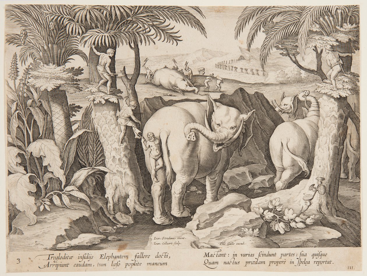 Cavemen Chasing Elephants, tallerken 3 fra Hunting of Wild Animals, Birds and Fish-serien af Jan van der Straet, called Stradanus