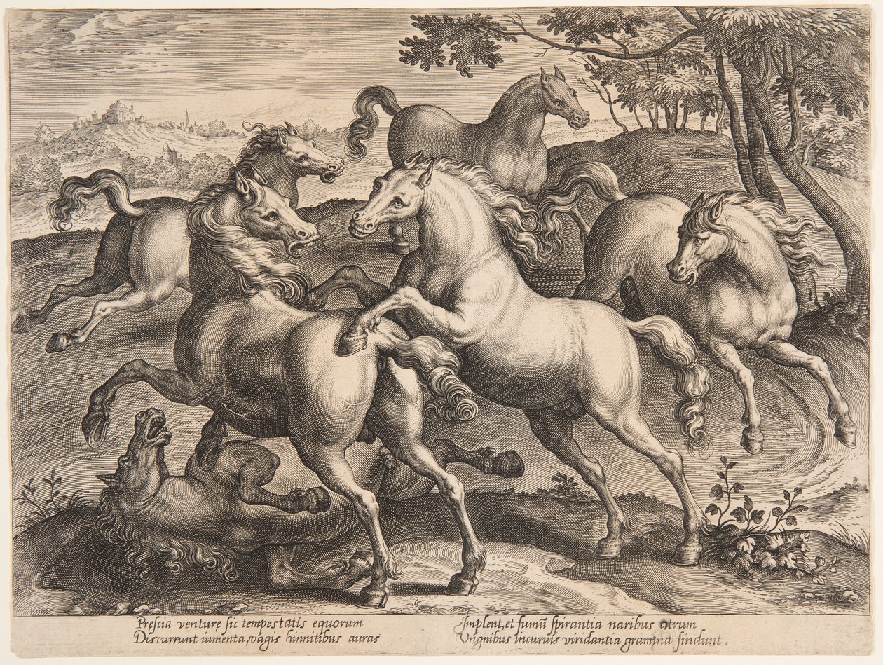 Fighting Horses, fra det fjerde sæt af "Equile Joannis Austriaci" af Jan van der Straet, called Stradanus