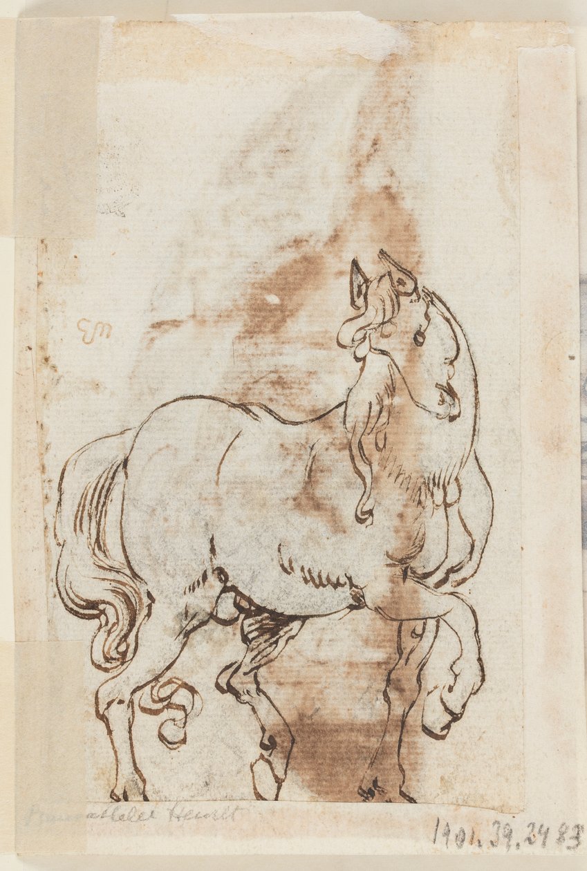 Side i en tegnebog; Studie til maleri af Sankt Magdalen; En hingst af Jan van der Straet, called Stradanus