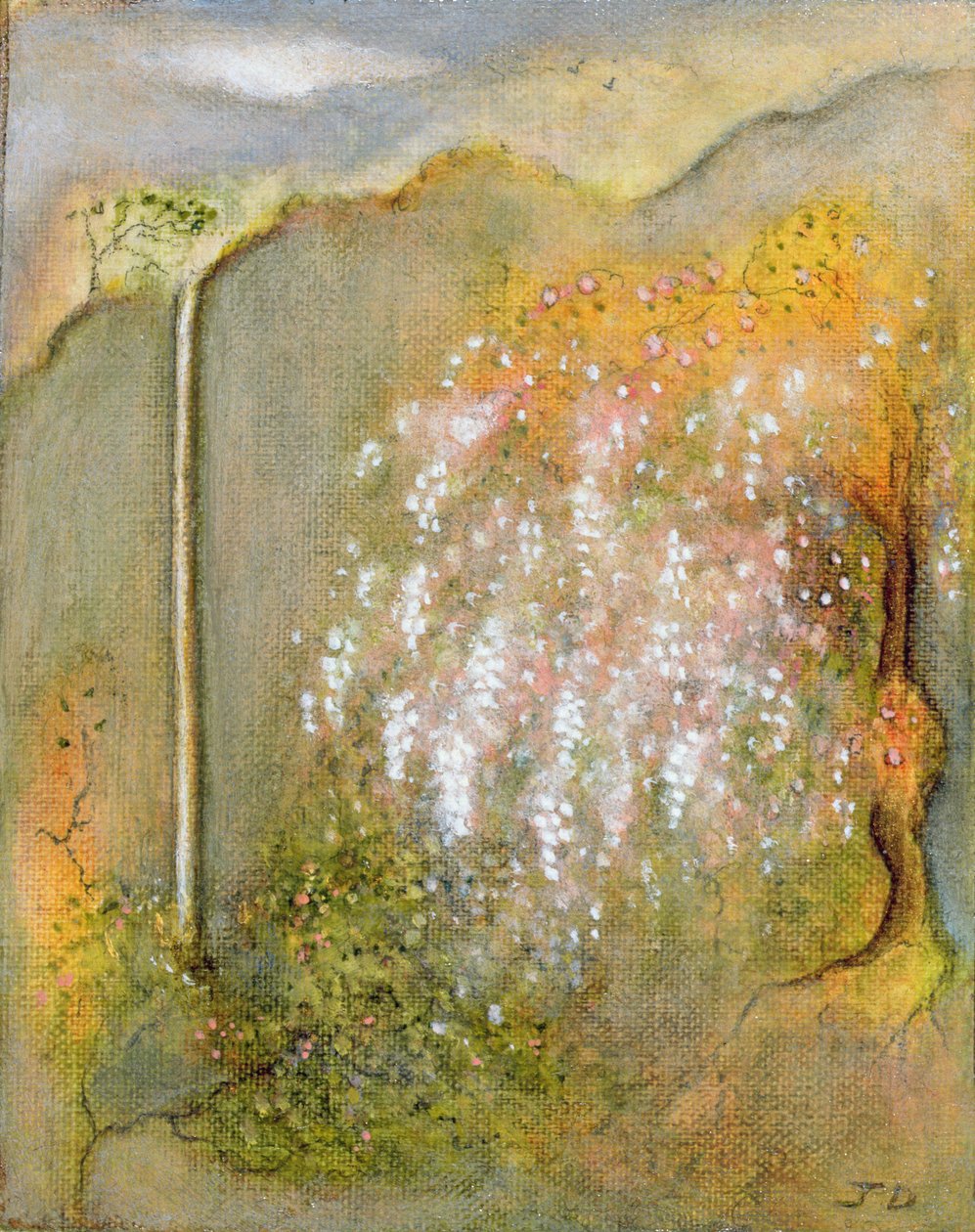 Hvid whisteria, 2001 af Jane Deakin