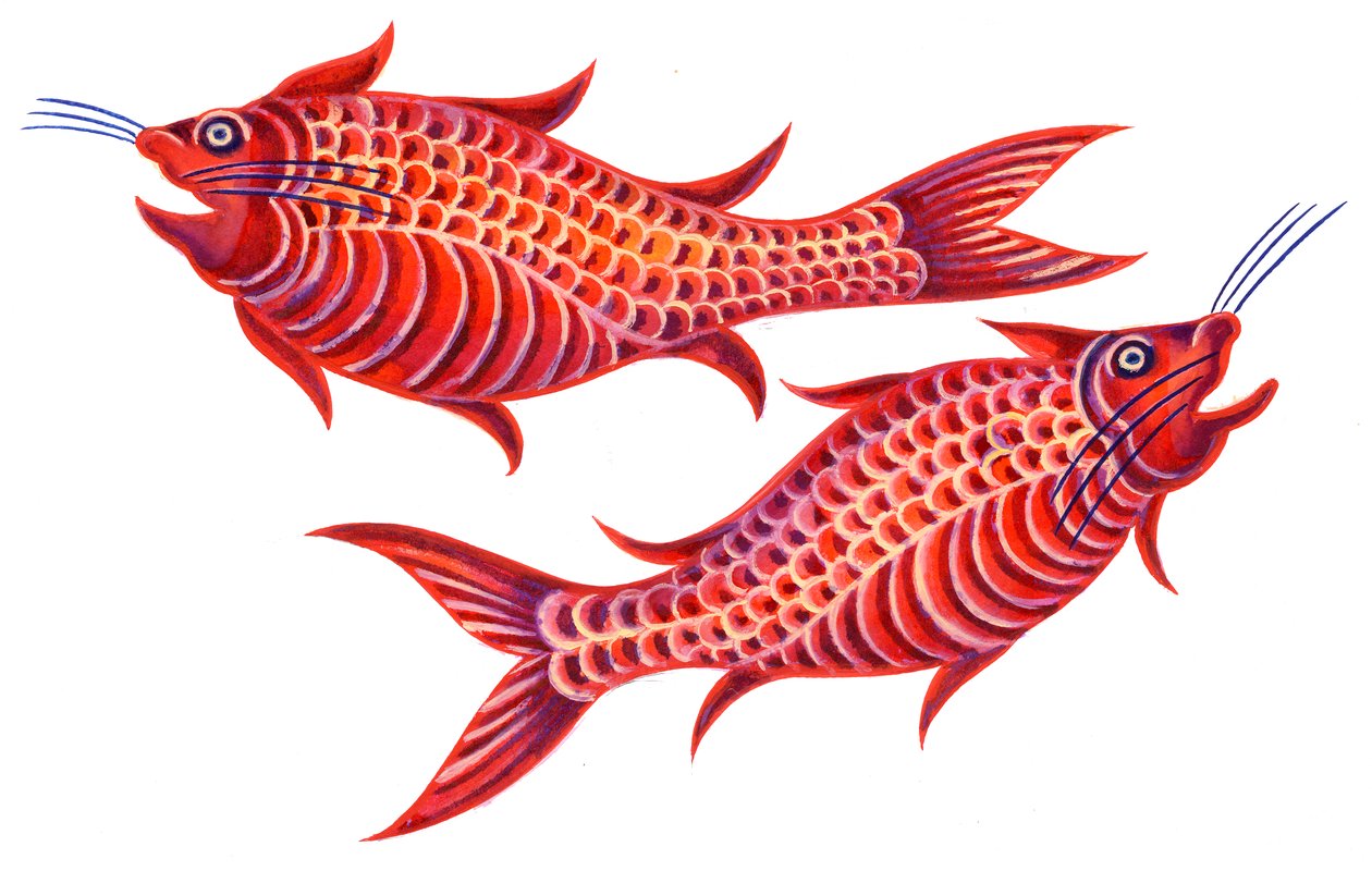 Fiskene, 1996, (blæk og gouache) af Jane Tattersfield