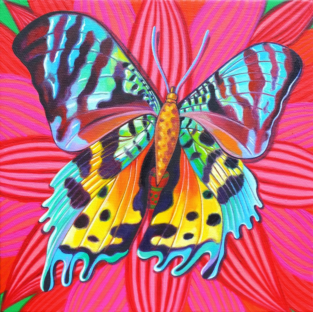 Sunset Moth, 2014, af Jane Tattersfield