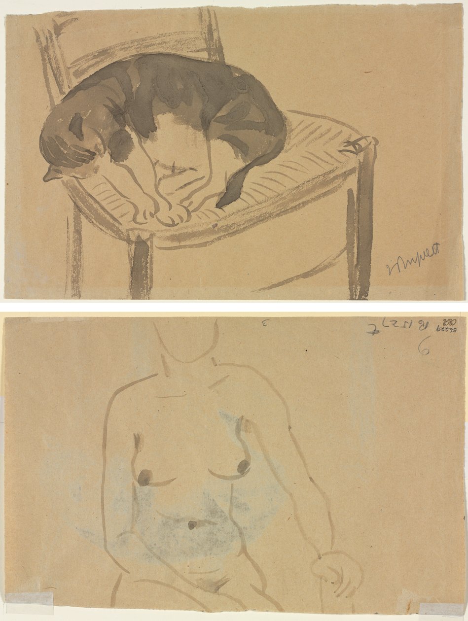 Sovende kat (recto) Torso af en nøgen kvinde (verso) af Jane Poupelet