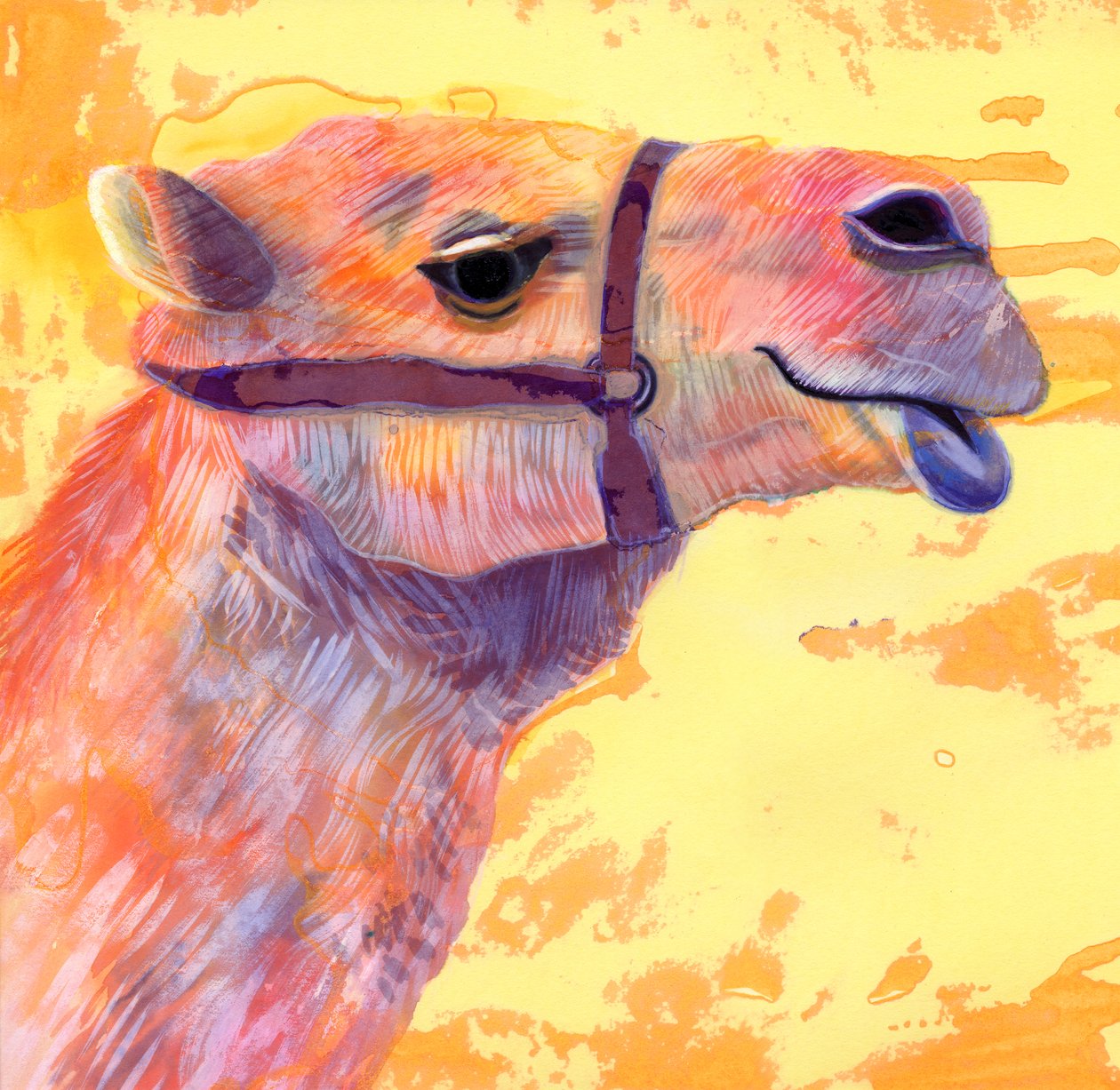 Camel, 1994, (blæk og gouache) af Jane Tattersfield