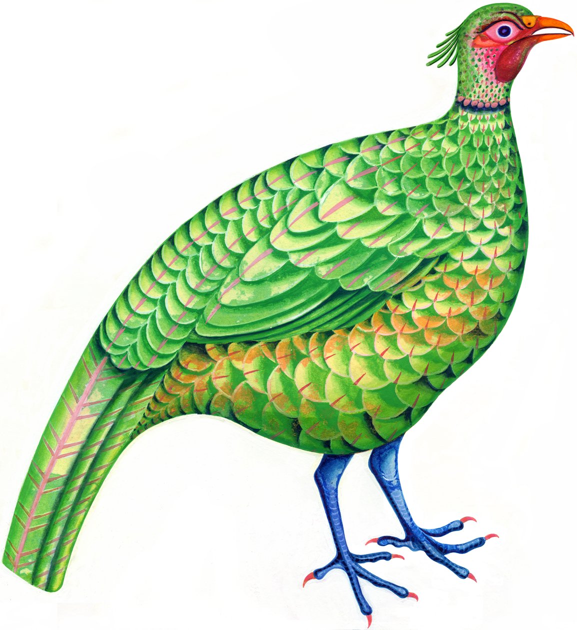 Fasan, 1996 (blæk og gouache) af Jane Tattersfield